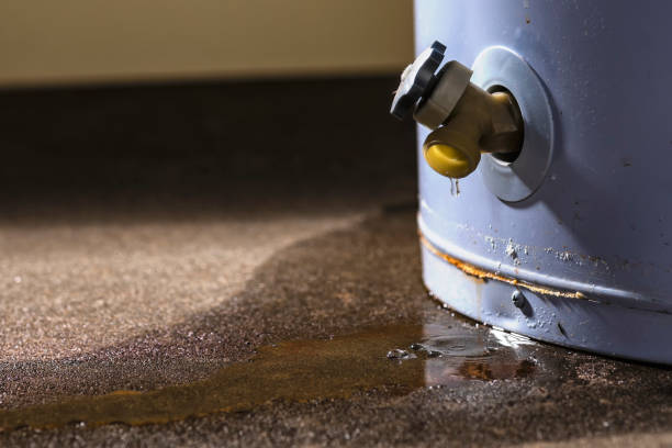 Best Water damage restoration services  in Zelienople, PA