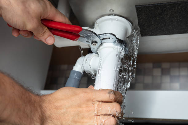 Best Water damage restoration insurance claims  in Zelienople, PA