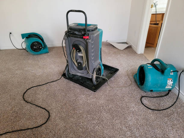 Best Flooded house restoration  in Zelienople, PA