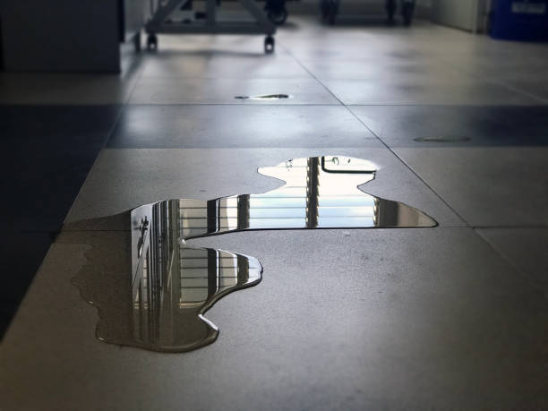 Best Water damage repair service  in Zelienople, PA