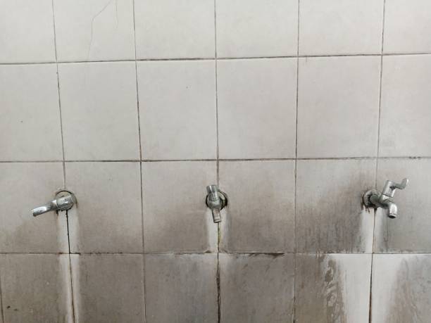 Best Water damage restoration near me  in Zelienople, PA