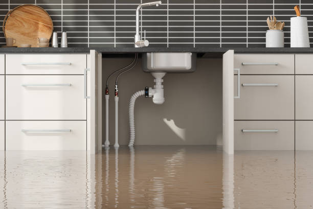 Best Water damage restoration near me  in Zelienople, PA